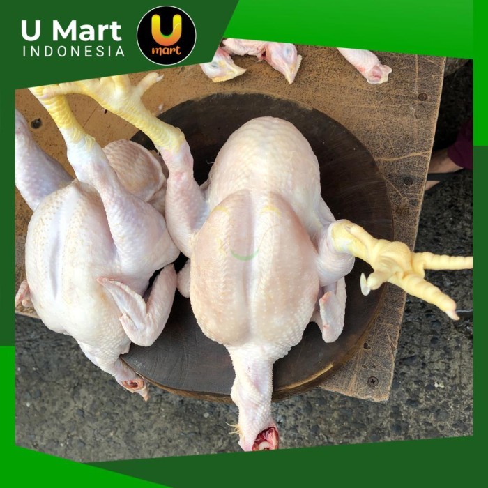 

U Mart - Ayam Negri Potong Utuh Ukuran Sedang
