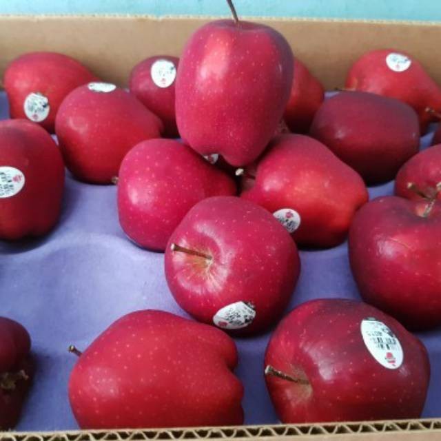 

UD BUAH 3 SAUDARA BUAH APEL MERAH SUPER, APEL RED DELICIOUS 1KG