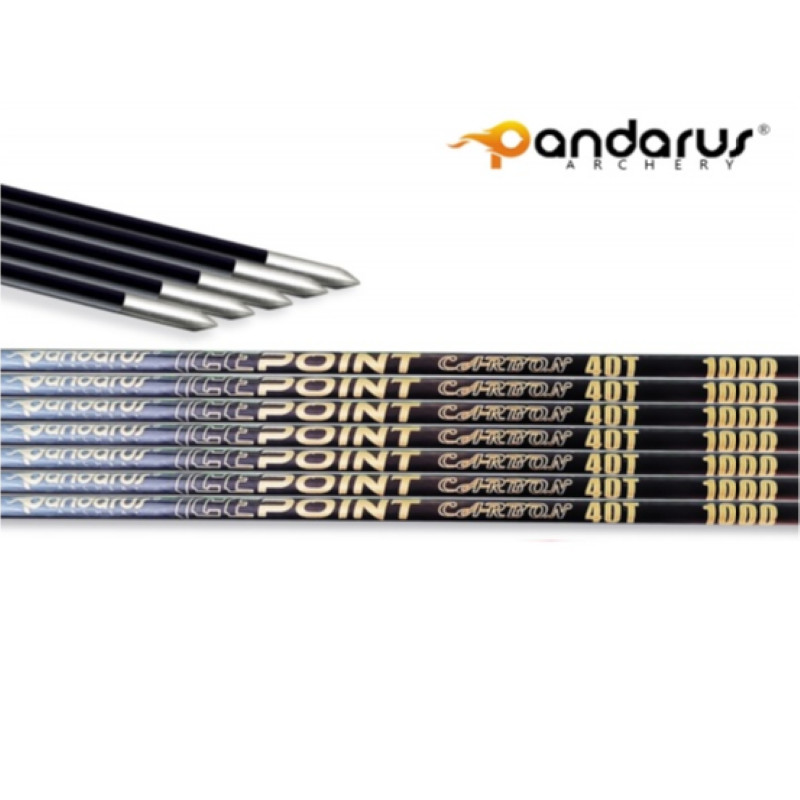 12Pcs Pandarus Icepoint ID3.2mm Gold Logo 40-Ton Carbon Arrow Shaft Spine350-1000 with Accessories f