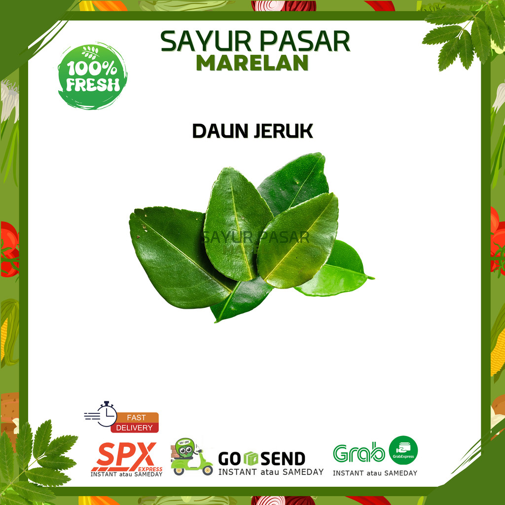 

DAUN JERUK 1 PACK