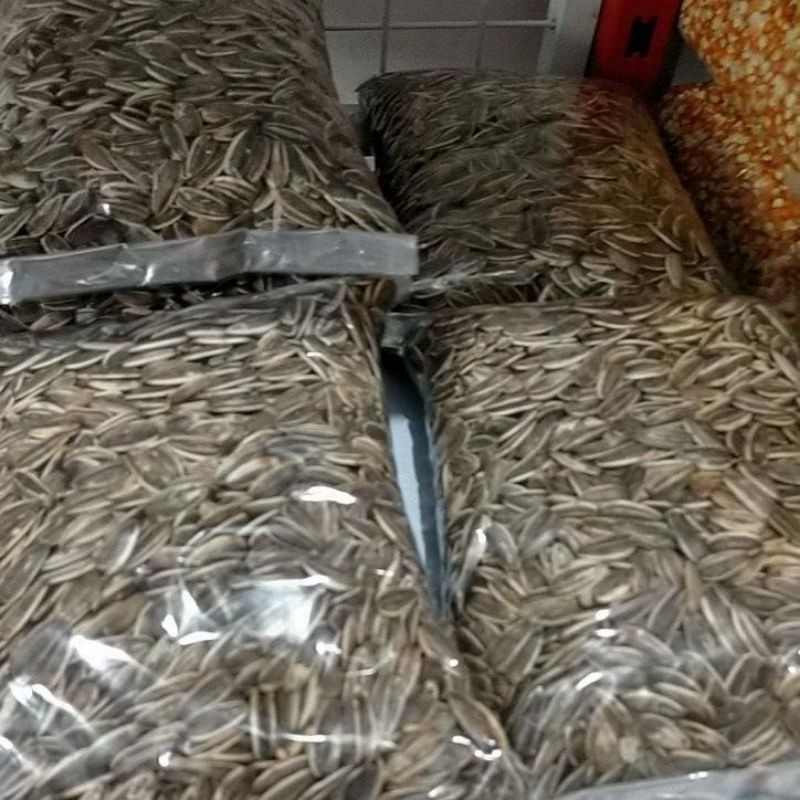 COD  BENIH KUACI MATAHARI JUMBO 1KG