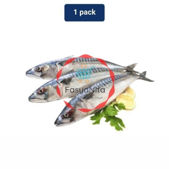 

Makarel 1 Pack (450-550 gr) - Fasyanita Denpasar
