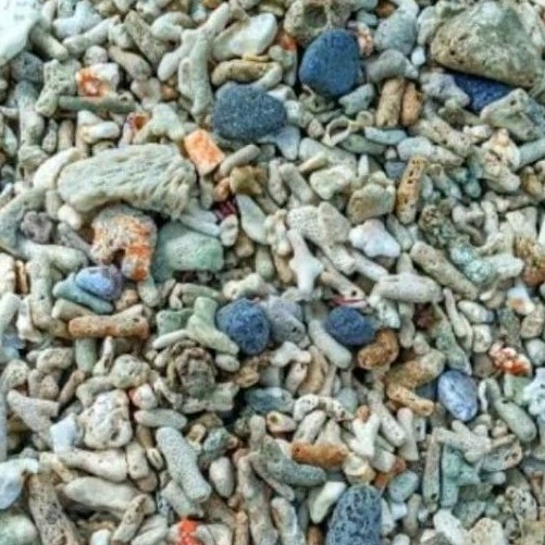 Jual Batu Karang/Karang Jahe Laut Hiasan Aquarium