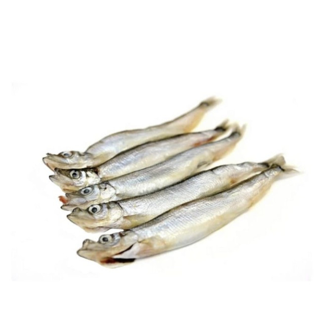 

Shisamo Japanese Fish (8 Pcs / Pack)