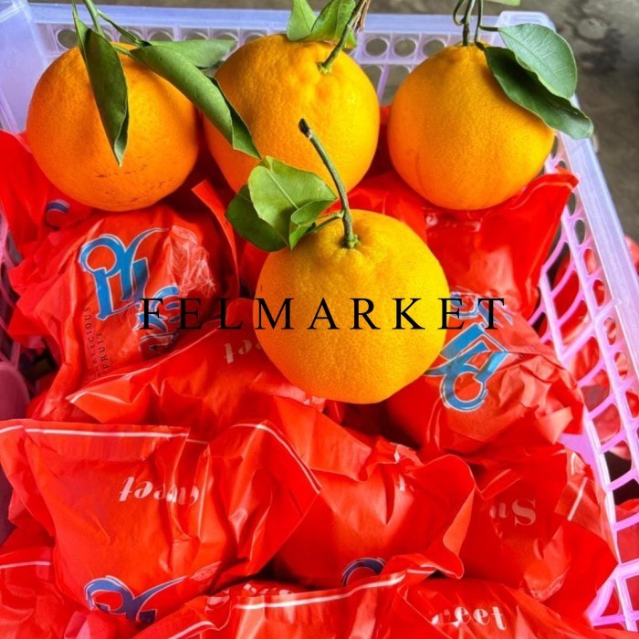 

Jeruk Chun Jian Fresh Manis / Jeruk Dekopon Import 6 Kg / Keranjang