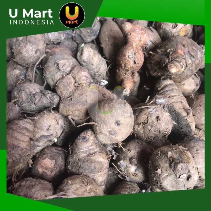 

U Mart - Biang Kunyit Segar 250 gram