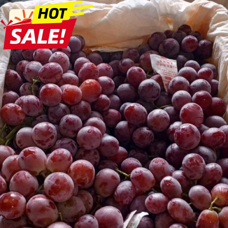 

UD BUAH 3 SAUDARA buah anggur merah red globe 1kg