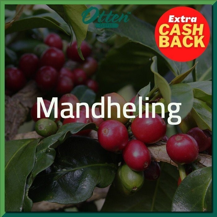 

Green Bean Arabica Mandheling - 1 Kg