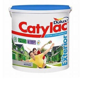 CAT TEMBOK DULUX CATYLAC EXTERIOR ESSENTIAL YELLOW 5KG Gallon