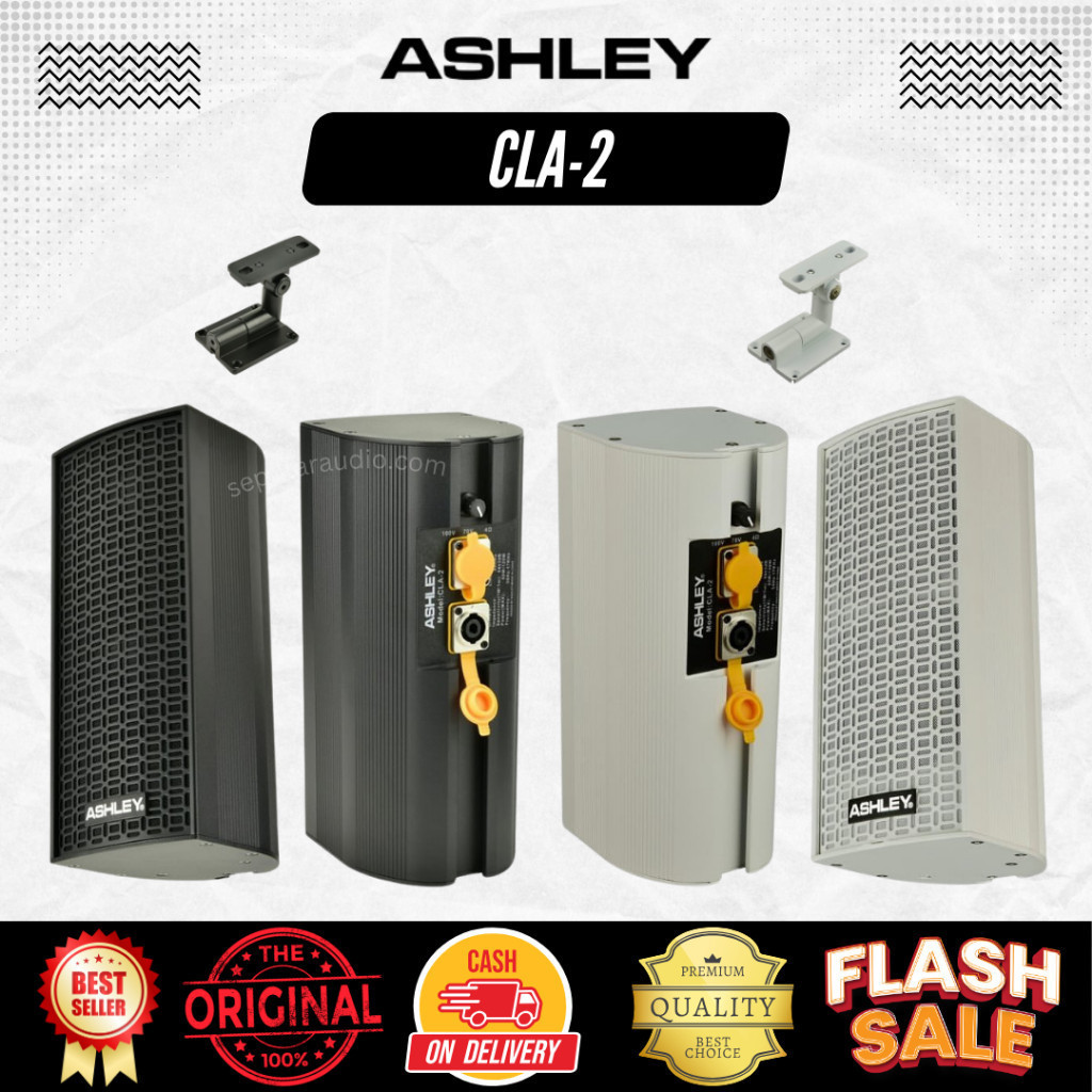 Column Speaker Ashley CLA-2