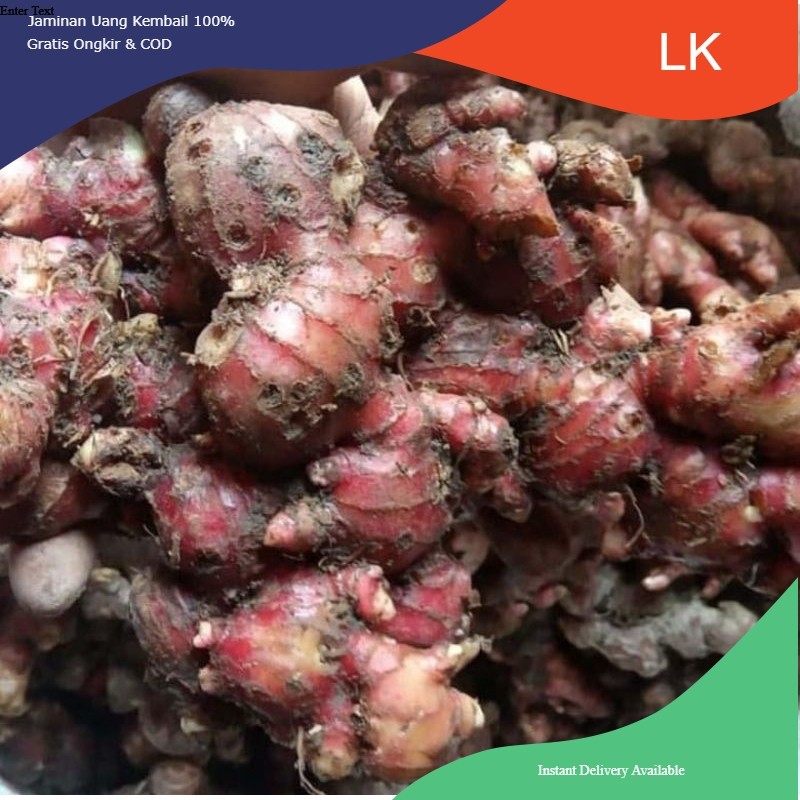 

JAHE MERAH TERMURAH READY 1KG