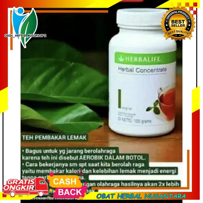 Herbalife Teh Thermoo Concentrate Original Pembakar Lemak Kalori Penurun Berat Badan 100% Original H