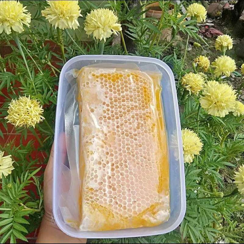 

madu sarang 500 gram murni/asli/original/rawhoney