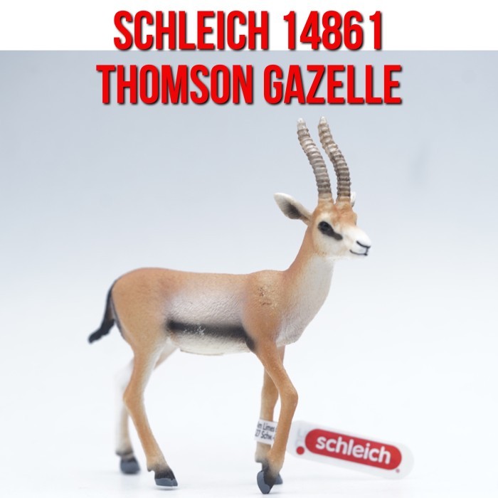 Schleich 14861 Thomson Gazelle Kijang Thomson Antelop Eudorcas thomsonii Mainan Figure Binatang Mini