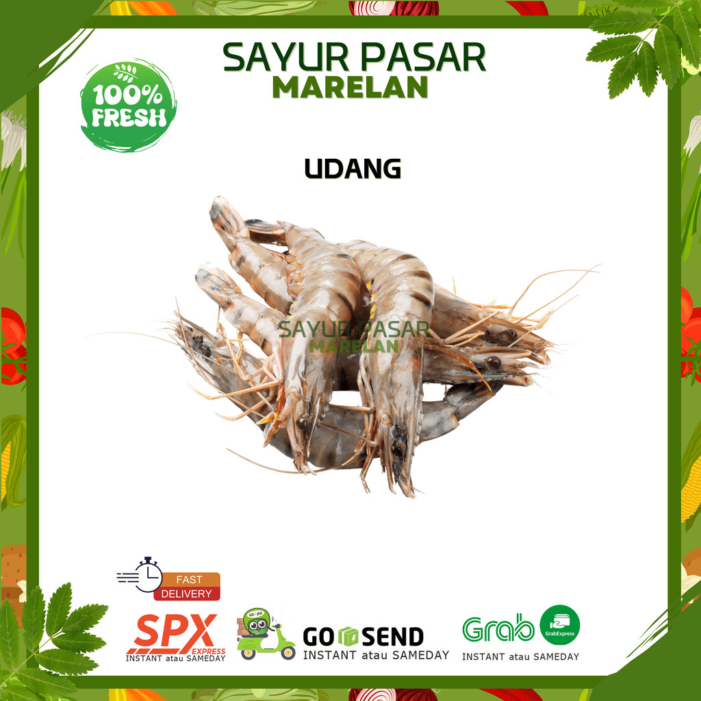 

UDANG PUTIH SEDANG SEGAR SEAFOOD FRESH - 250gr 500gr