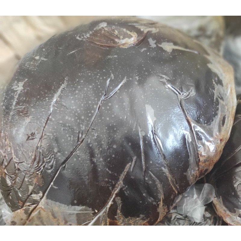 

Gula Batok Linggau MURAH 2Kg/pack