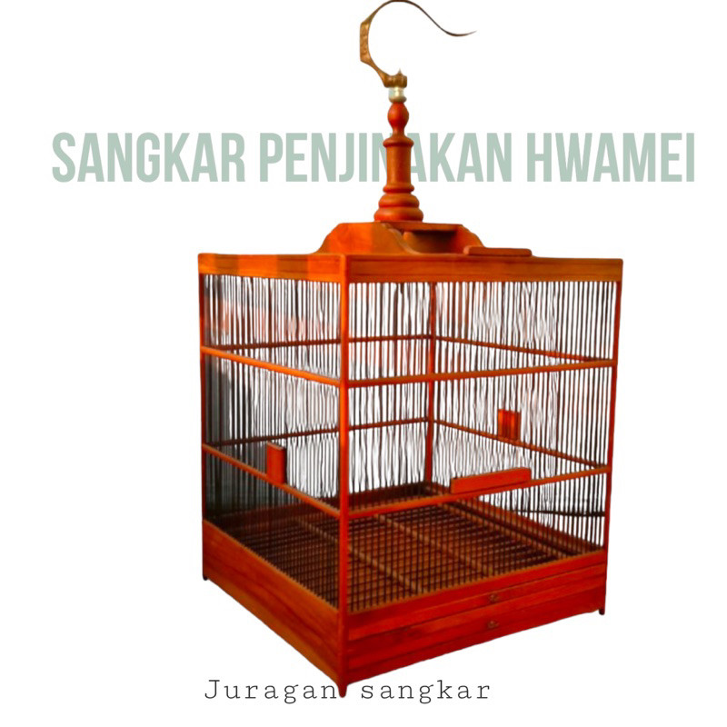 SANGKAR KANDANG PENJINAKAN WAMBI HWAMEI RAPET