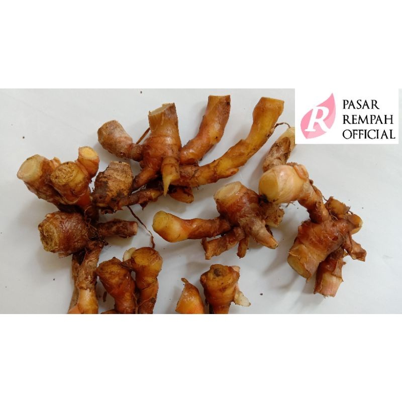 

Temu kunci segar 250 gram ready