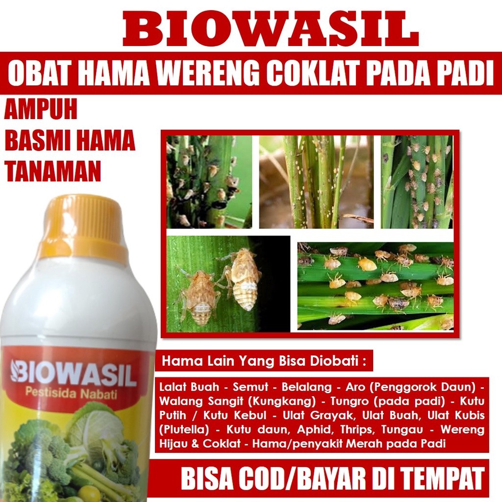 [PUPUK MURAH] BIOWASIL 500 ML Obat Semprot Hama Wereng Coklat Padi Sawah - Pupuk Pestisida Semprot B