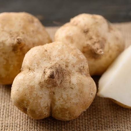 

UD BUAH 3 SAUDARA Bangkoang Bengkuang 1kg [KHUSUS GOJEK DAN GRAB]