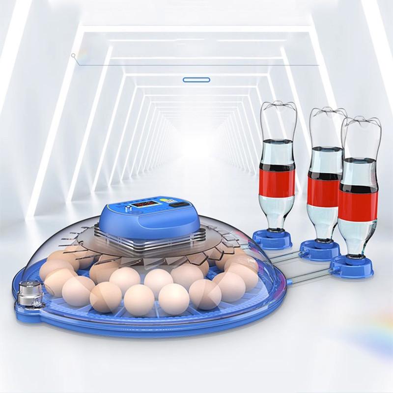 52 Eggs Incubator Automatic Egg Incubator for Egg Turning Chicken Duck Quail Birds Brooder Incubatio