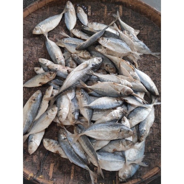 

PREMIUM Ikan Asin Campur campur / Oplos Isi 1Kg Enak Gurih Halal Kering#Ikanasintegal #campuran #oplos