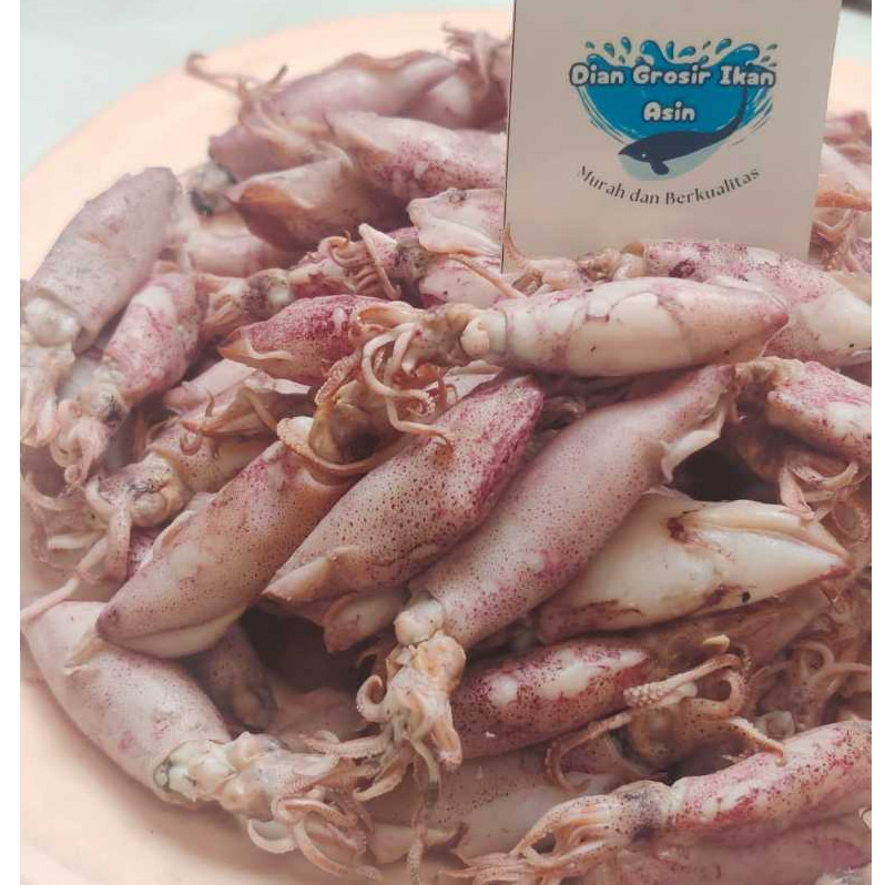 

PREMIUM Grosir Ikan Asin Dian _ ikan Asin Cumi Sontong Sedang 250 gram(cumi rebus)