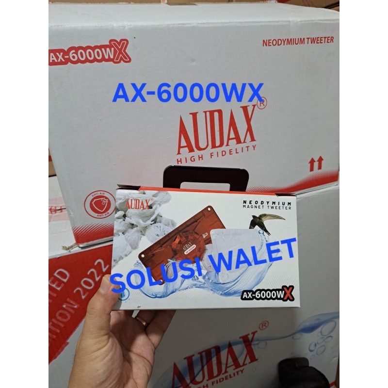 Tweeter Audax AX 6000WX anti air neodymium magnet