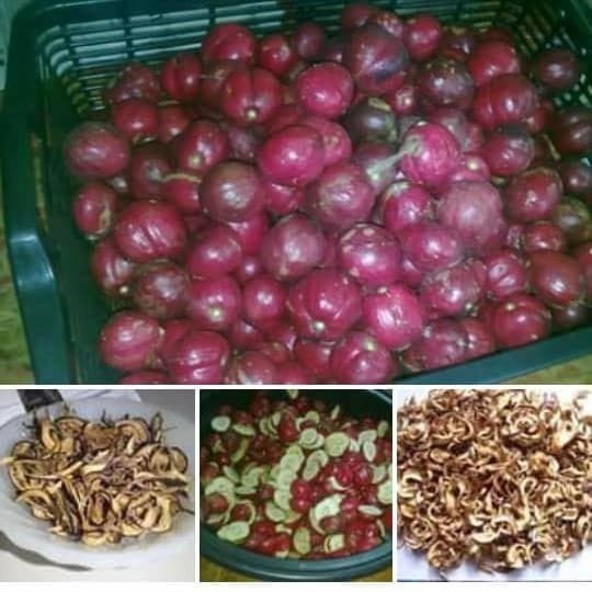 

Mahkota Dewa Kering (500gr) / Obat Herbal Alami