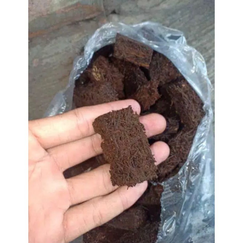 media tanam anggrek cacah pakis chip / cacah pakis kotak per 200gram  . '