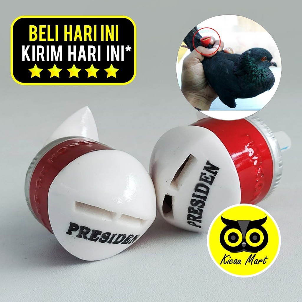 KICAU MART SAWANGAN MERPATI PRESIDEN MANSION JUMBO SAWANGAN BURUNG MERPATI DARA SAWANGAN HOTANG BURU