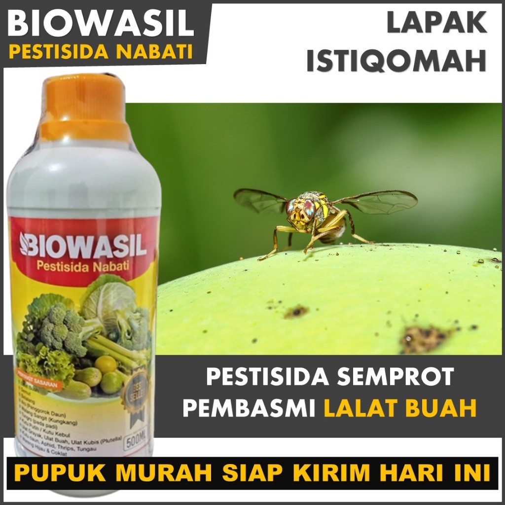 Pupuk Organik Semprot Pengendali Hama LALAT BUAH Terbaik isi 500 ML - BIOWASIL 500 ML Pestisida Semp