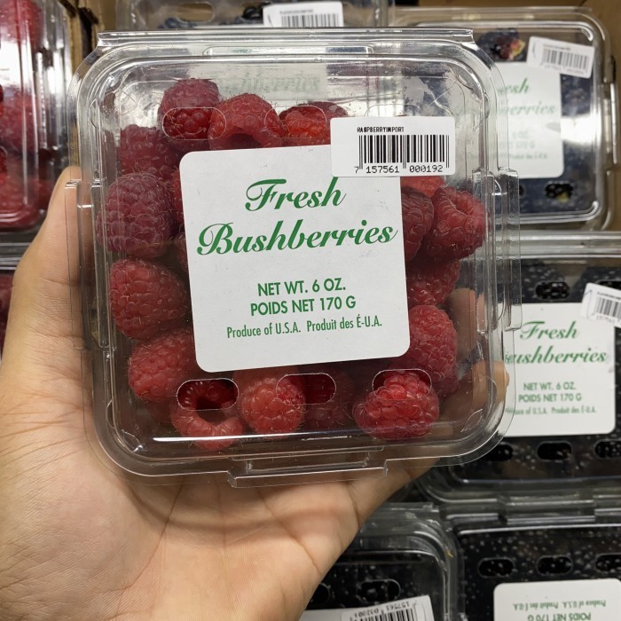 

Raspberry usa fresh | Buah raspberry fresh import 170grm