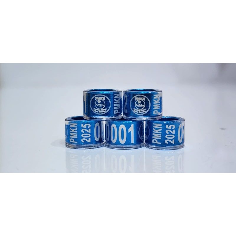 RING PMKN 2025 - isi 5pcs