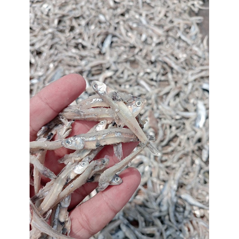 

PREMIUM Serbu! Serba 10.000 Ikan Asin Terbaikk Termuraah