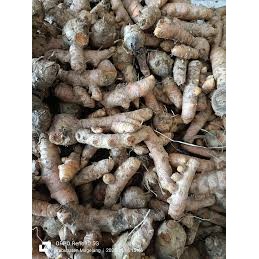 

Kunyit//Kunir abras fresh 250gr