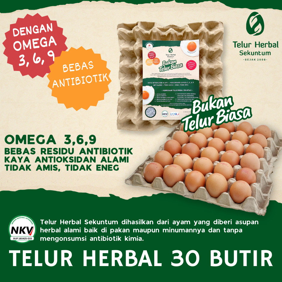 

Telur Ayam Omega 3 Bebas Antibiotik Herbal Sekuntum Curah
