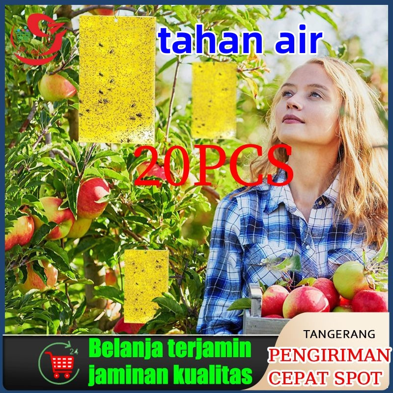 20pcs perangkap lalat buah(Yellow Trap Likat Kuning)20cm x 25cm