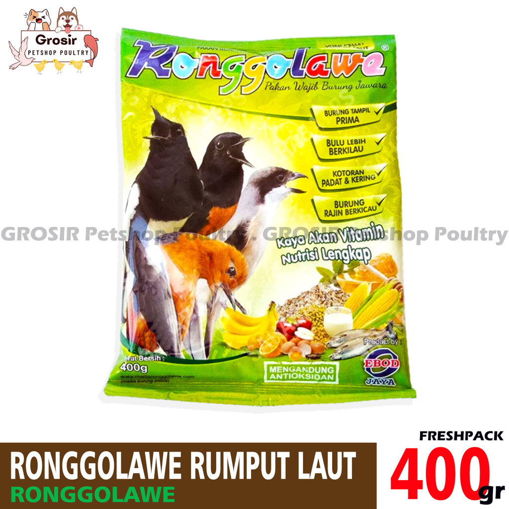 VOER RUMPUT LAUT RONGGOLAWE EBOD JAYA PAKAN BURUNG ANIS MURAI CUCAK