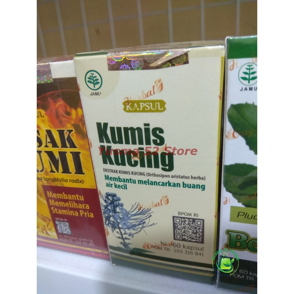 

Tazakka Kumis Kucing 60 Kapsul Obat Batu Ginjal & Sakit Pinggang Alami