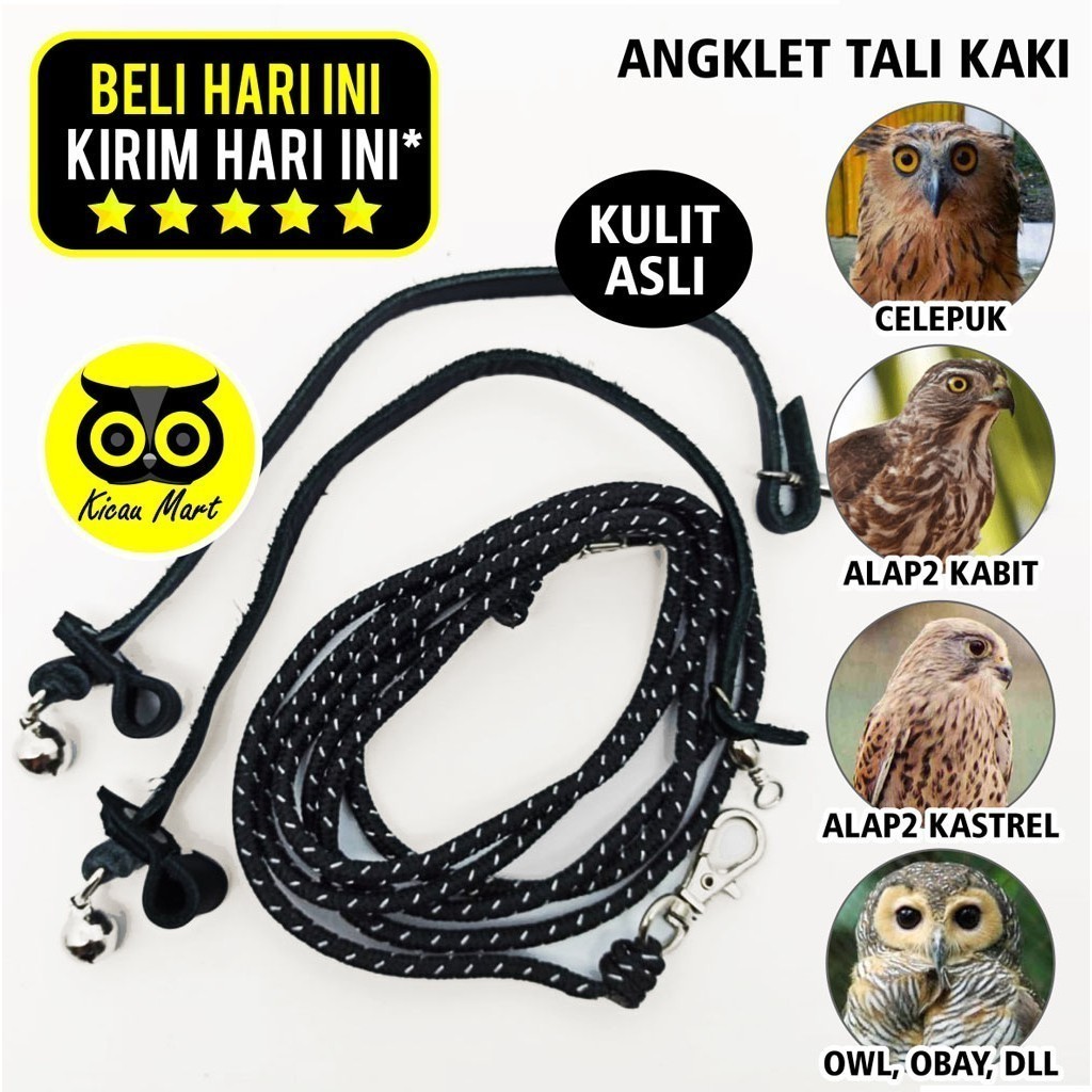 KICAU MART ANKLET CELEPUK TALI KAKI BURUNG HANTU ANGKLET CELEPUK ALAP ALAP KABIT KASTREL OWL BIDO AL