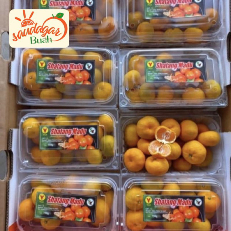 

UD BUAH 3 SAUDARA BUAH JERUK SANTANG MADU PACK SEDLED NON BIJI MANIS JUICY HAMPERS 1 BOX