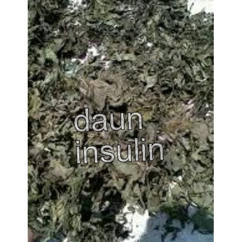 

Daun Insulin Kering (250gr) / Paitan Kering / Obat Herbal Diabetes