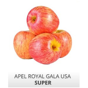 

apel royal gala usa super per kg / tidak ada retur /