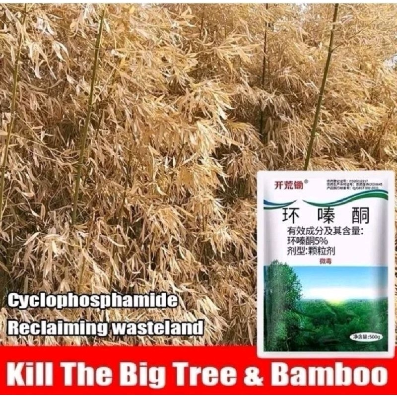 KILL TREE HERBISIDA PEMBASMI HAMA RUMPUT DAN LIAR RACUN POHON BESAR POHON BAMBU PALING AMPUH