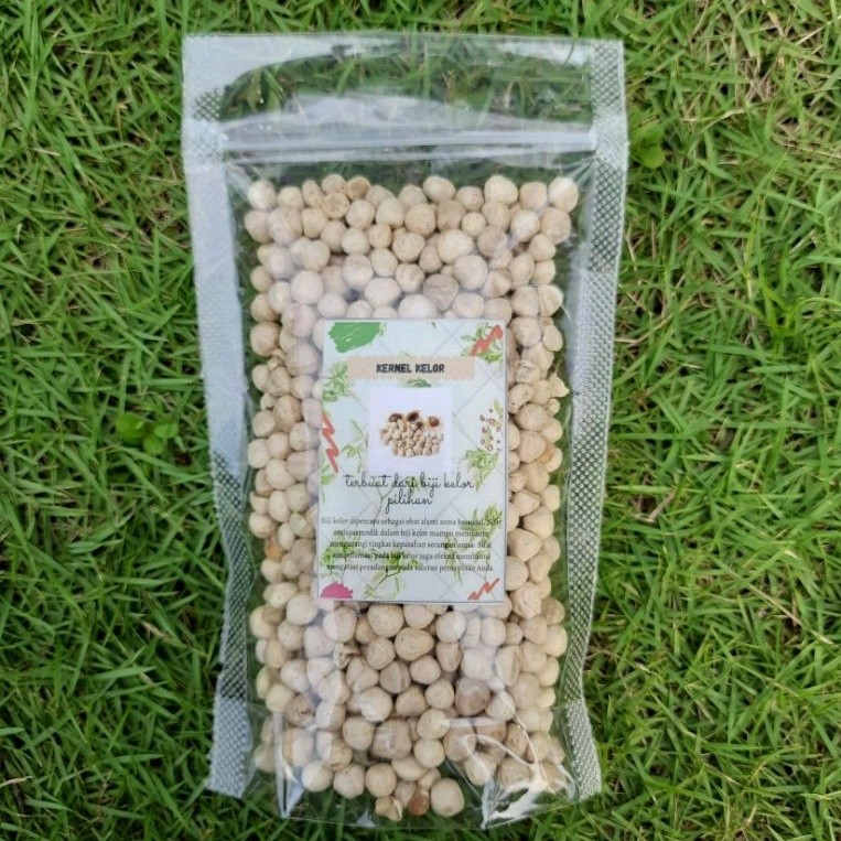 

Biji Kernel Kelor Moringa isi 100 Gram Kupas Kupasan