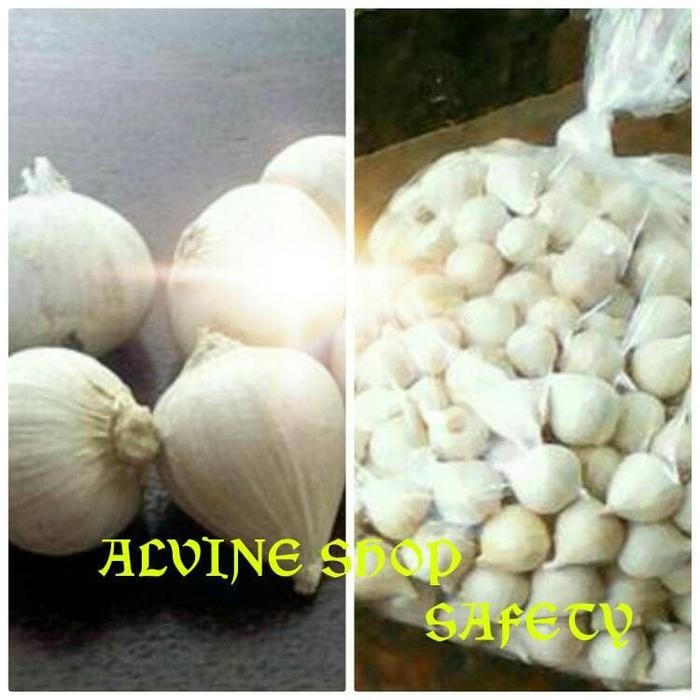 

Promo BAWANG PUTIH TUNGGAL / BAWANG LANANG ALAMI terlaris
