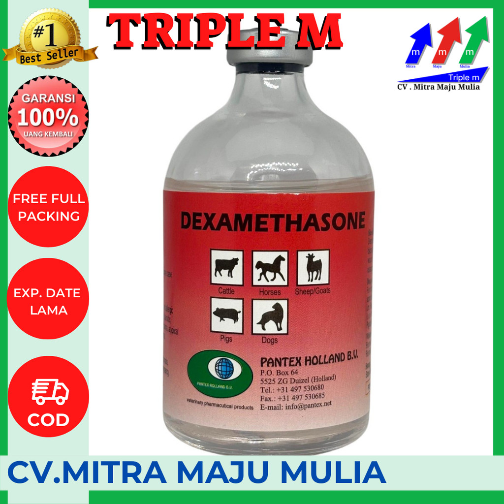 Dexamethasone (Pantex Holland) 3M