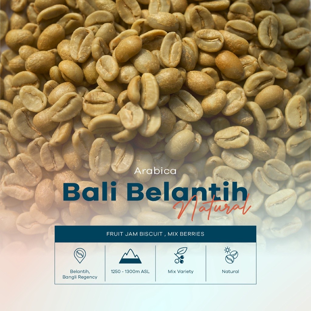 

ARABIKA BALI BELANTIH NATURAL PROCESS BIJI KOPI MENTAH 1 KG