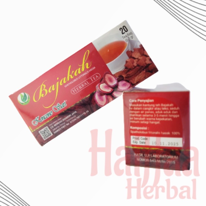 

Akar Kayu Bajakah Teh Celup Kencono Sari Teh Bajakah Teh Herbal Asli Original Hasil Bumi Indonesia